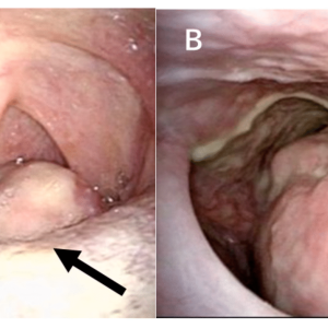 reports-08-00058-g001